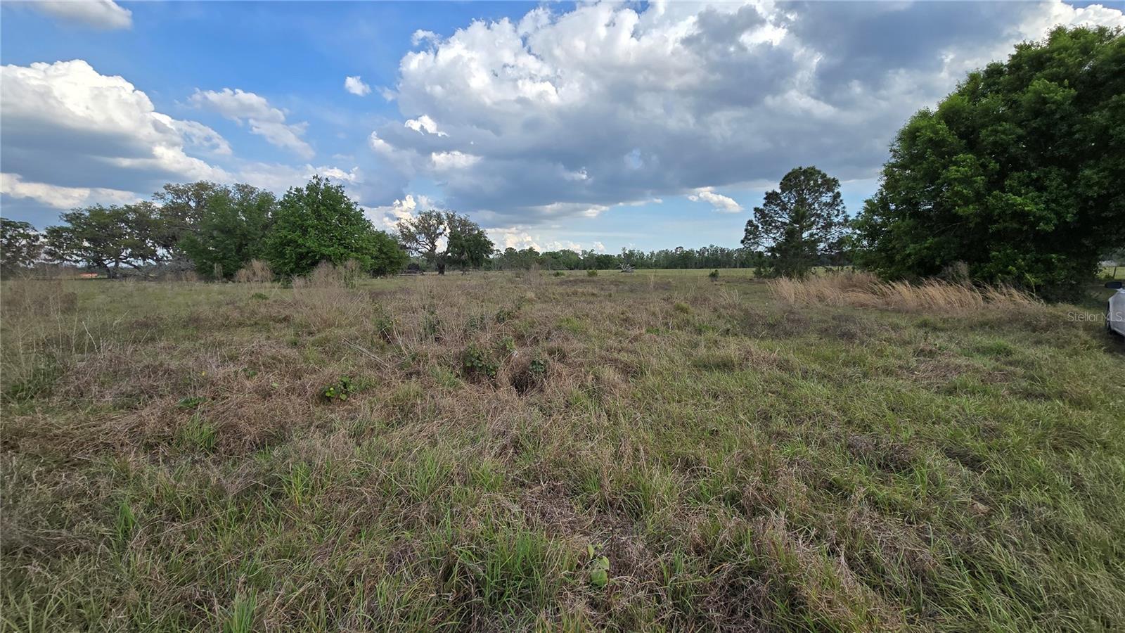 46105 MCLEOD RD, MYAKKA CITY, FL, 34251