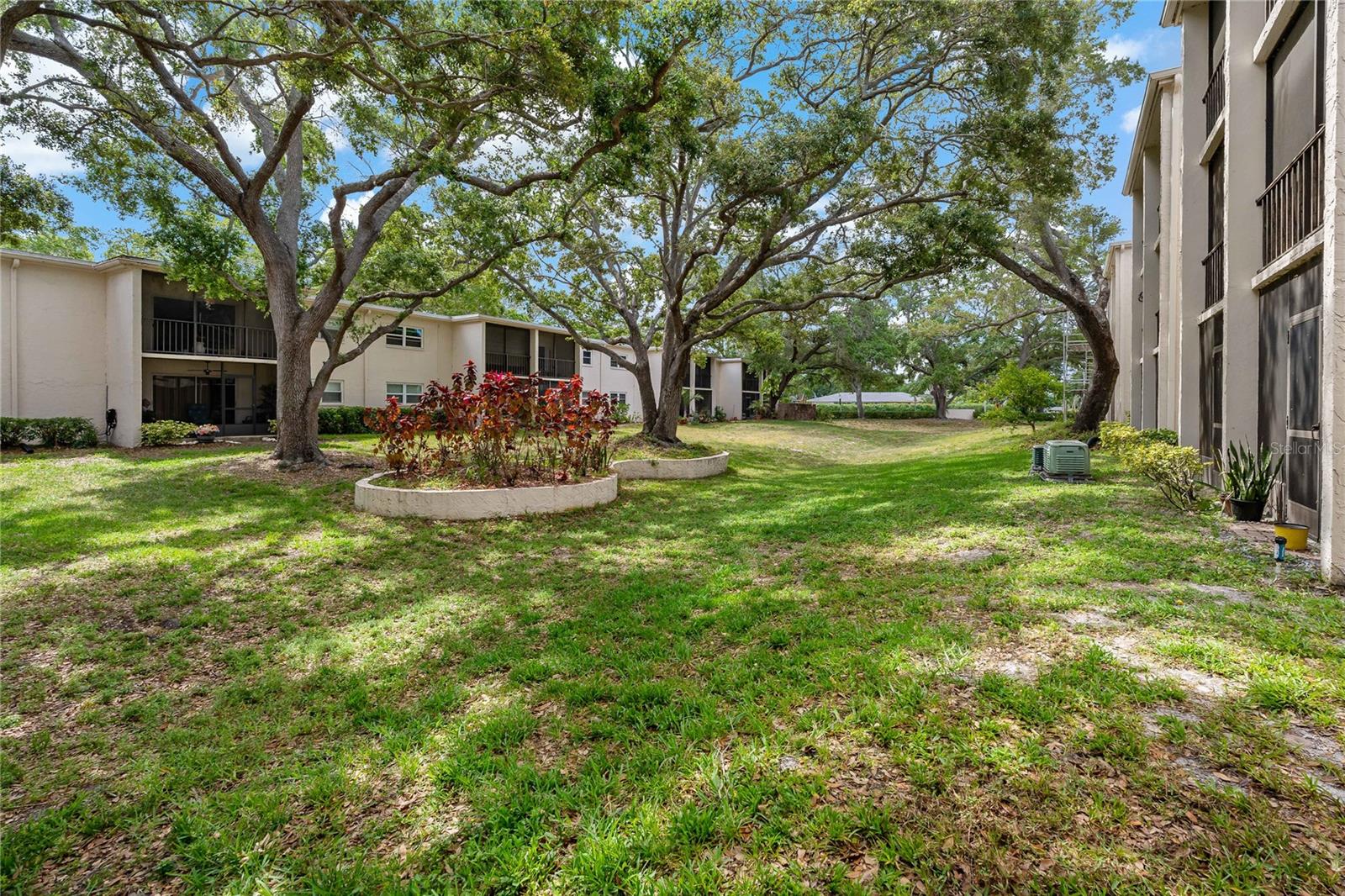 870 VIRGINIA ST #109, DUNEDIN, FL, 34698