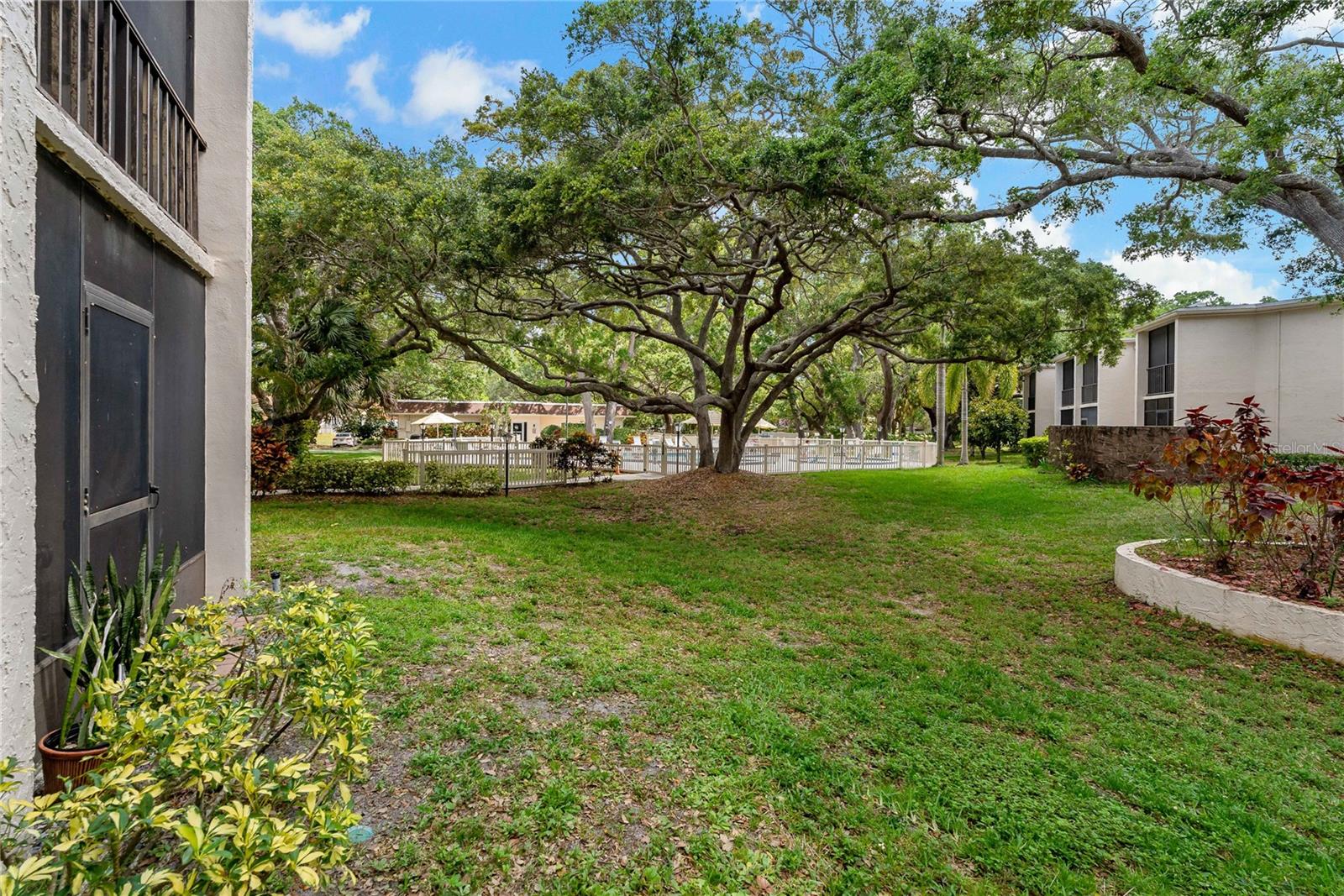 870 VIRGINIA ST #109, DUNEDIN, FL, 34698