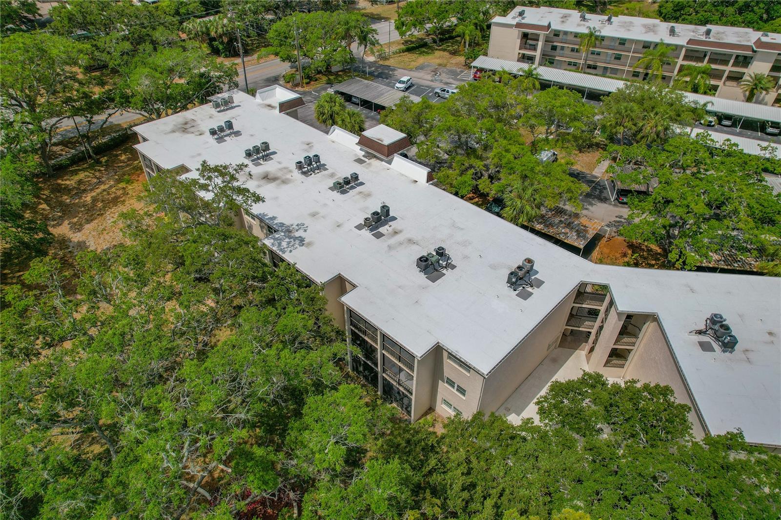 870 VIRGINIA ST #109, DUNEDIN, FL, 34698