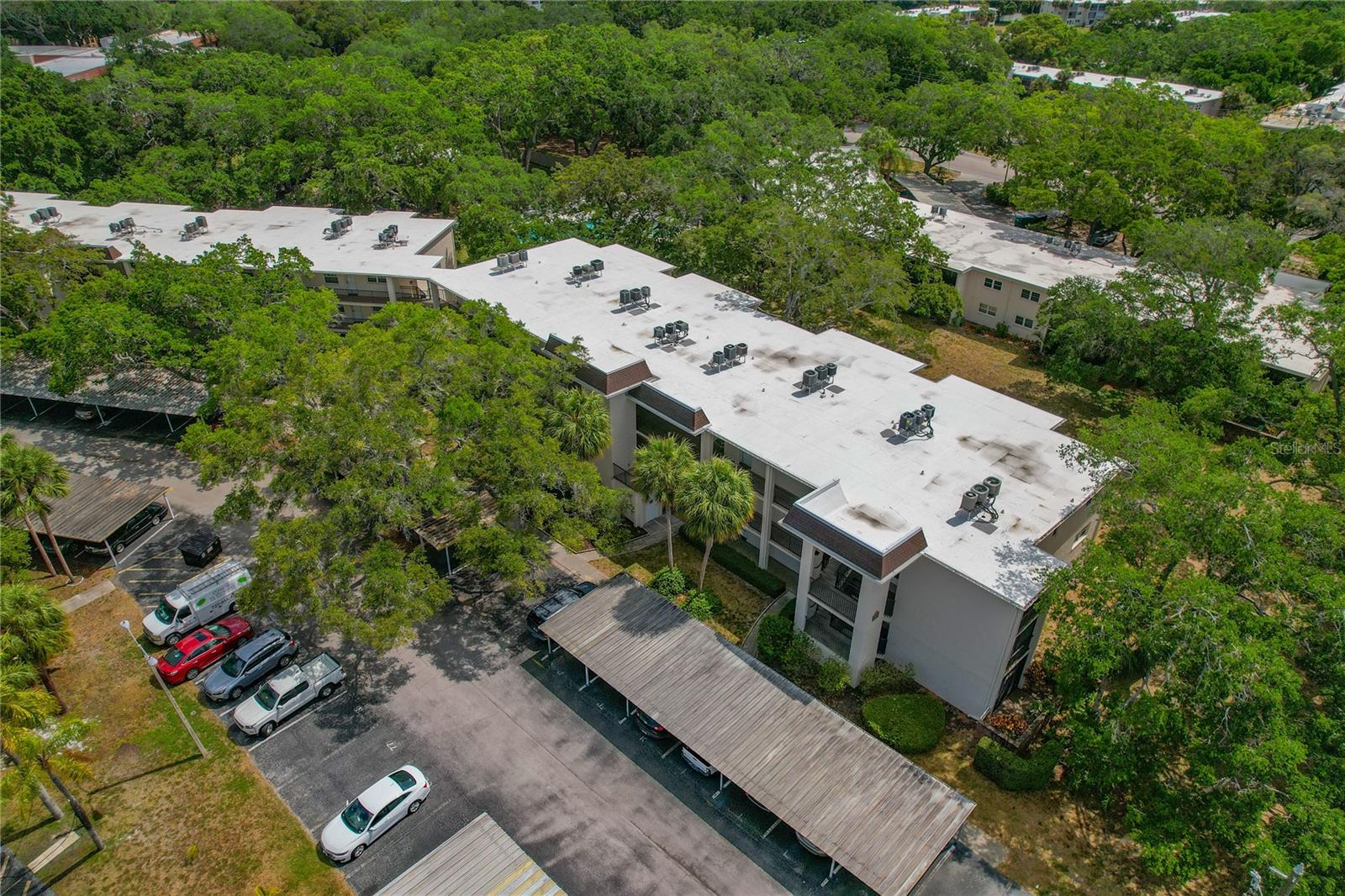 870 VIRGINIA ST #109, DUNEDIN, FL, 34698