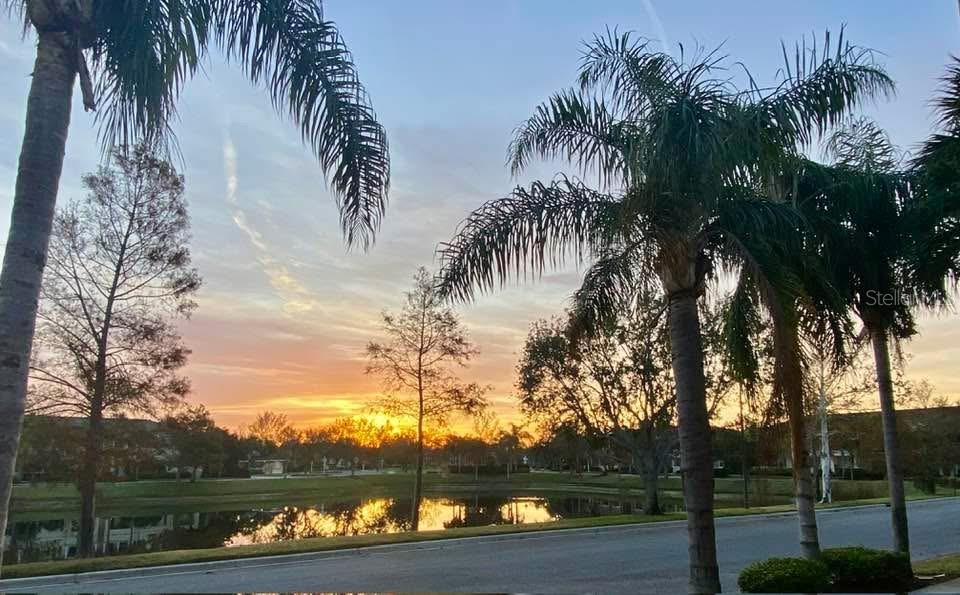 3736 82ND AVENUE CIR E #104, SARASOTA, FL, 34243