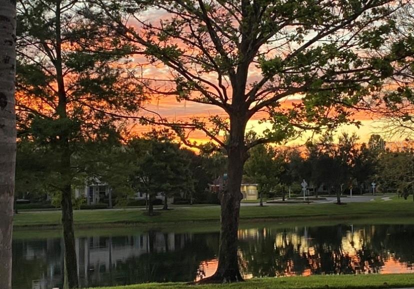 3736 82ND AVENUE CIR E #104, SARASOTA, FL, 34243