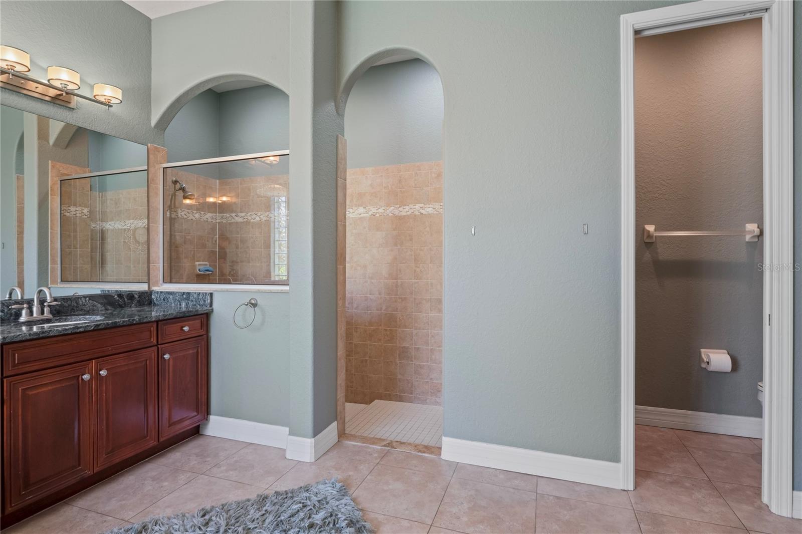 21604 DRAYCOTT WAY, LAND O LAKES, FL, 34637