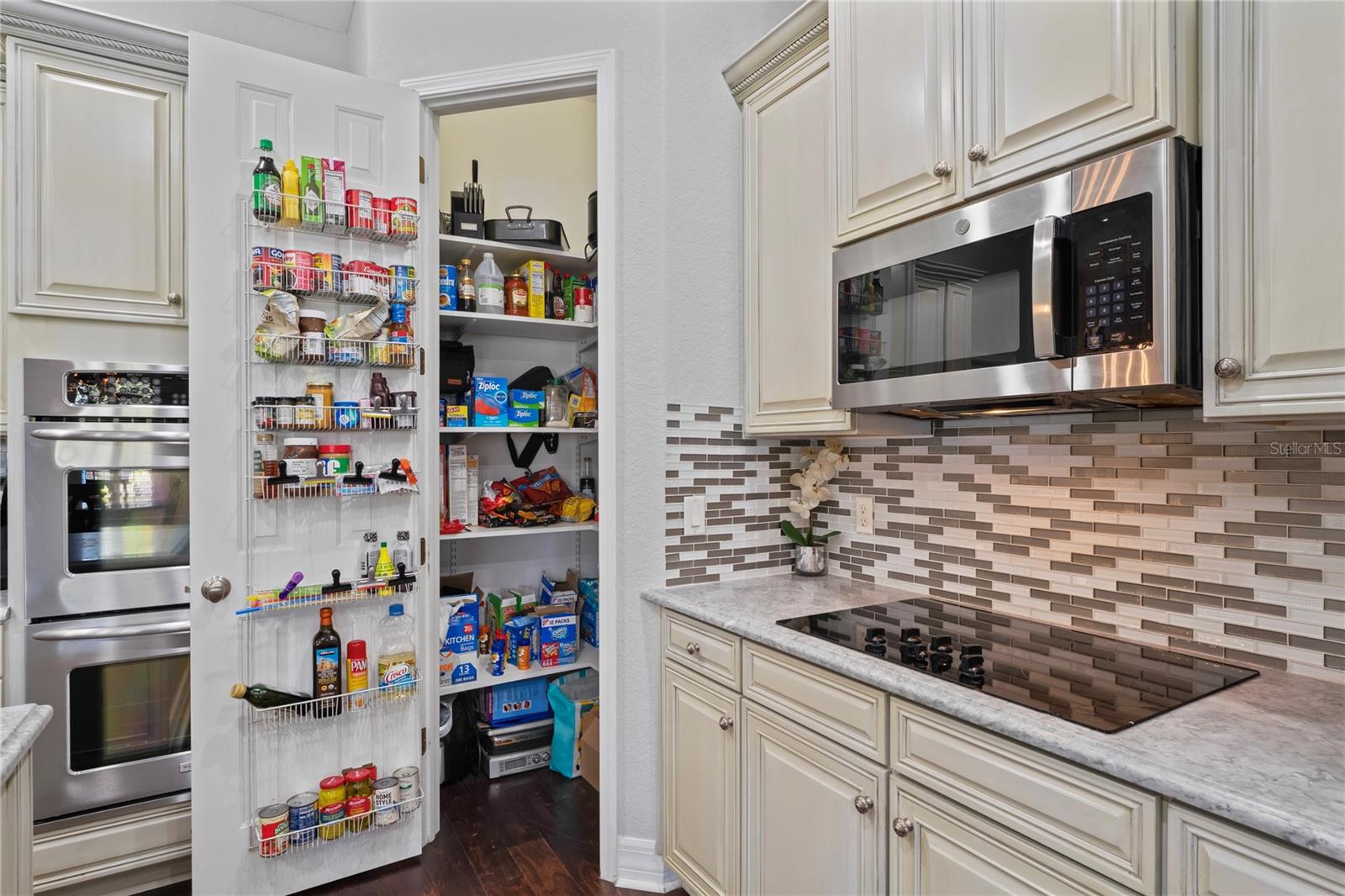 21604 DRAYCOTT WAY, LAND O LAKES, FL, 34637