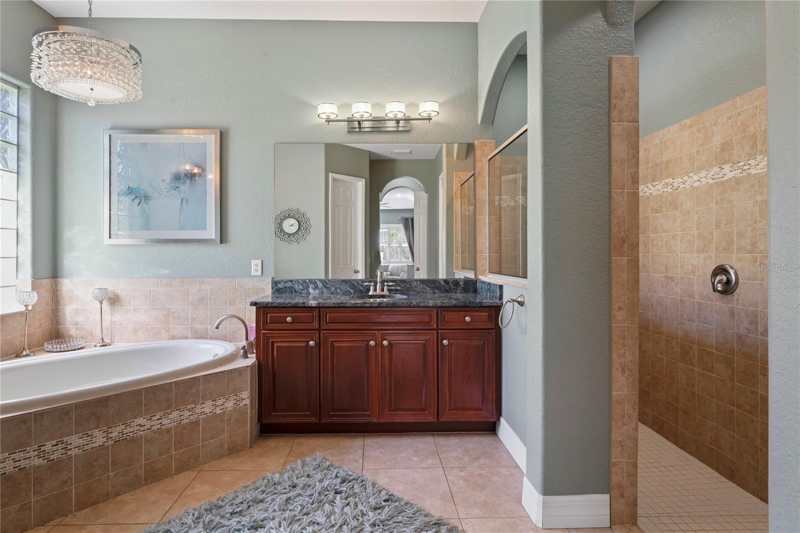 21604 DRAYCOTT WAY, LAND O LAKES, FL, 34637