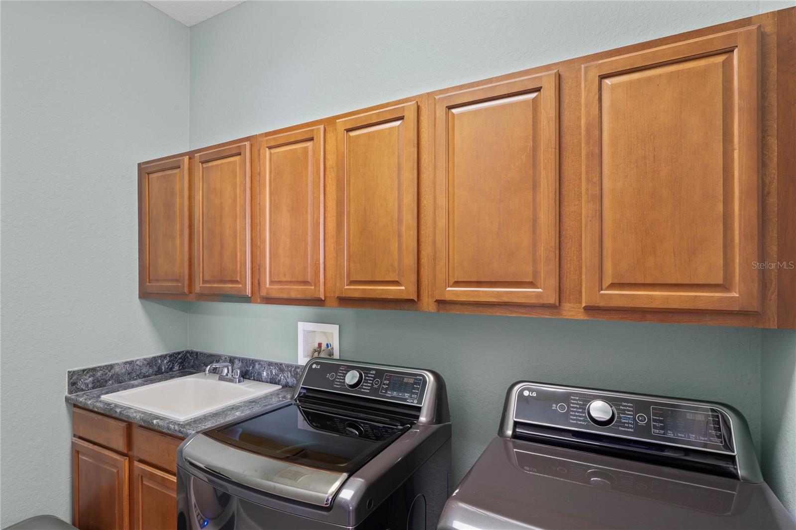 21604 DRAYCOTT WAY, LAND O LAKES, FL, 34637