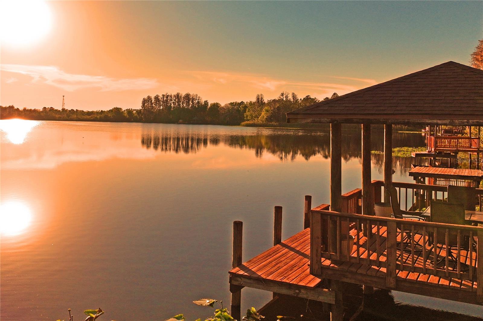 21604 DRAYCOTT WAY, LAND O LAKES, FL, 34637