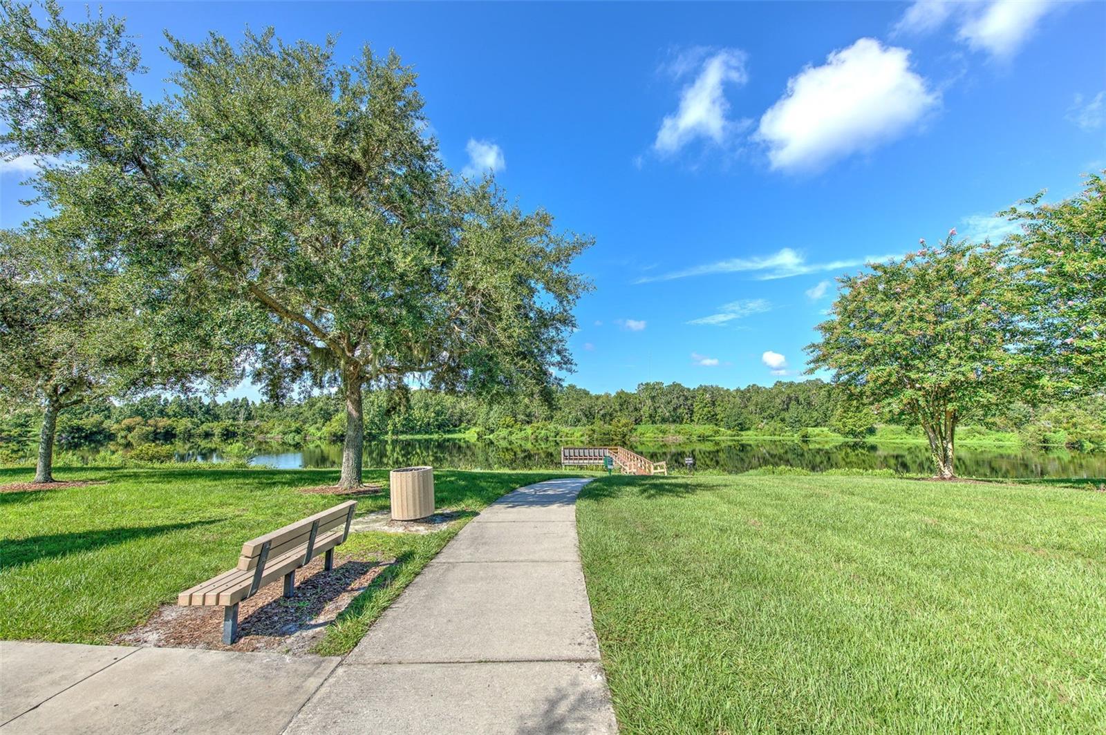5705 VILLAGE CENTER DR, LITHIA, FL, 33547