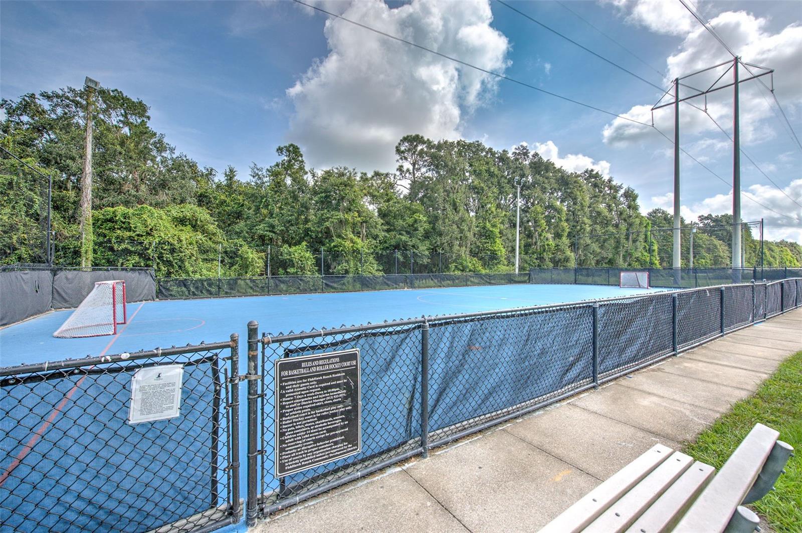 5705 VILLAGE CENTER DR, LITHIA, FL, 33547