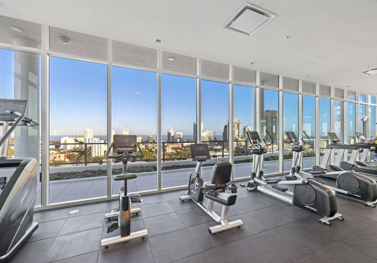 777 3RD AVE N #1007, ST PETERSBURG, FL, 33701