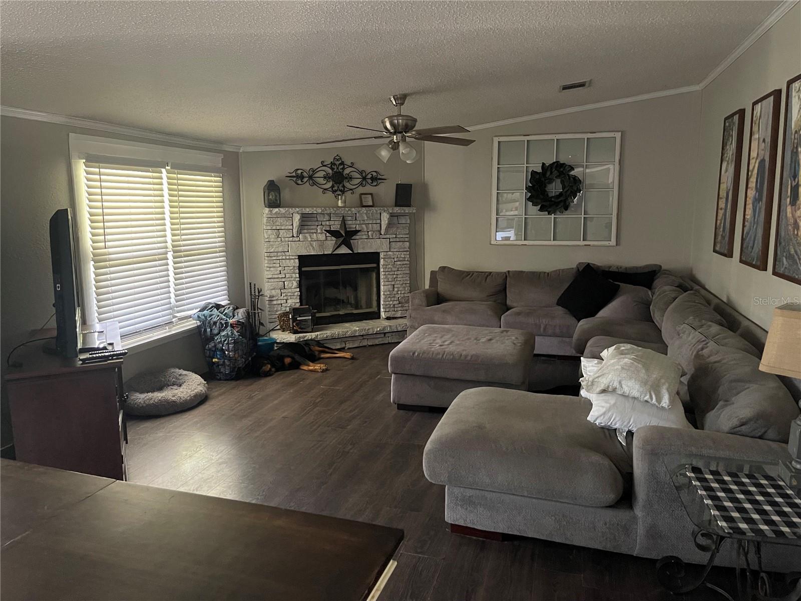 16600 NW 126TH CT, REDDICK, FL, 32686