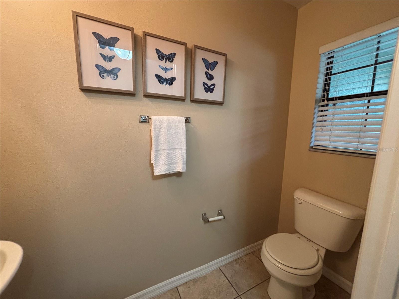 2441 HIBISCUS BAY LN, BRANDON, FL, 33511