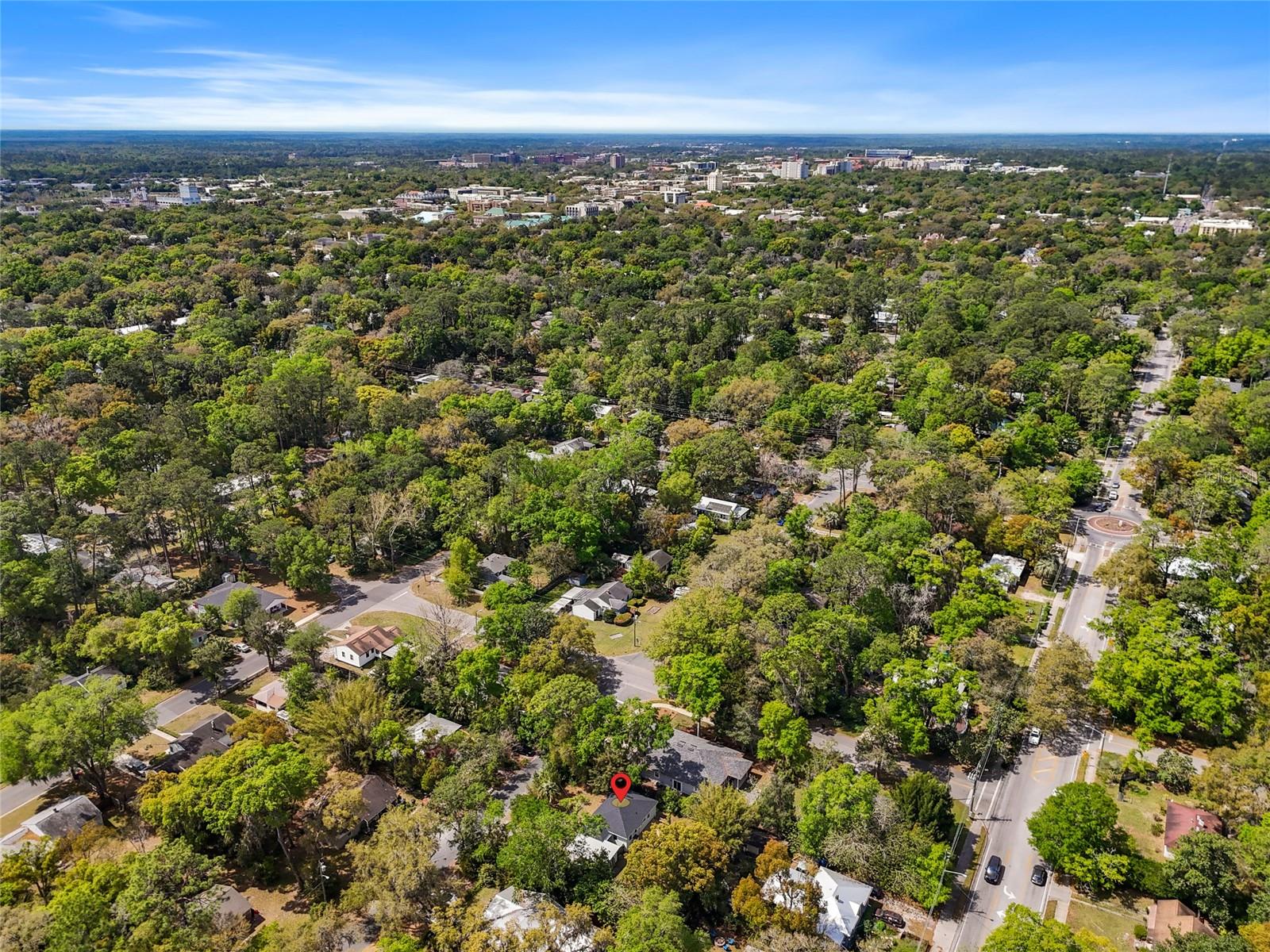 1010 NE 7TH PL, GAINESVILLE, FL, 32601