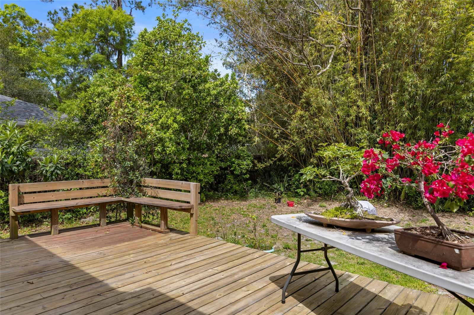 1010 NE 7TH PL, GAINESVILLE, FL, 32601