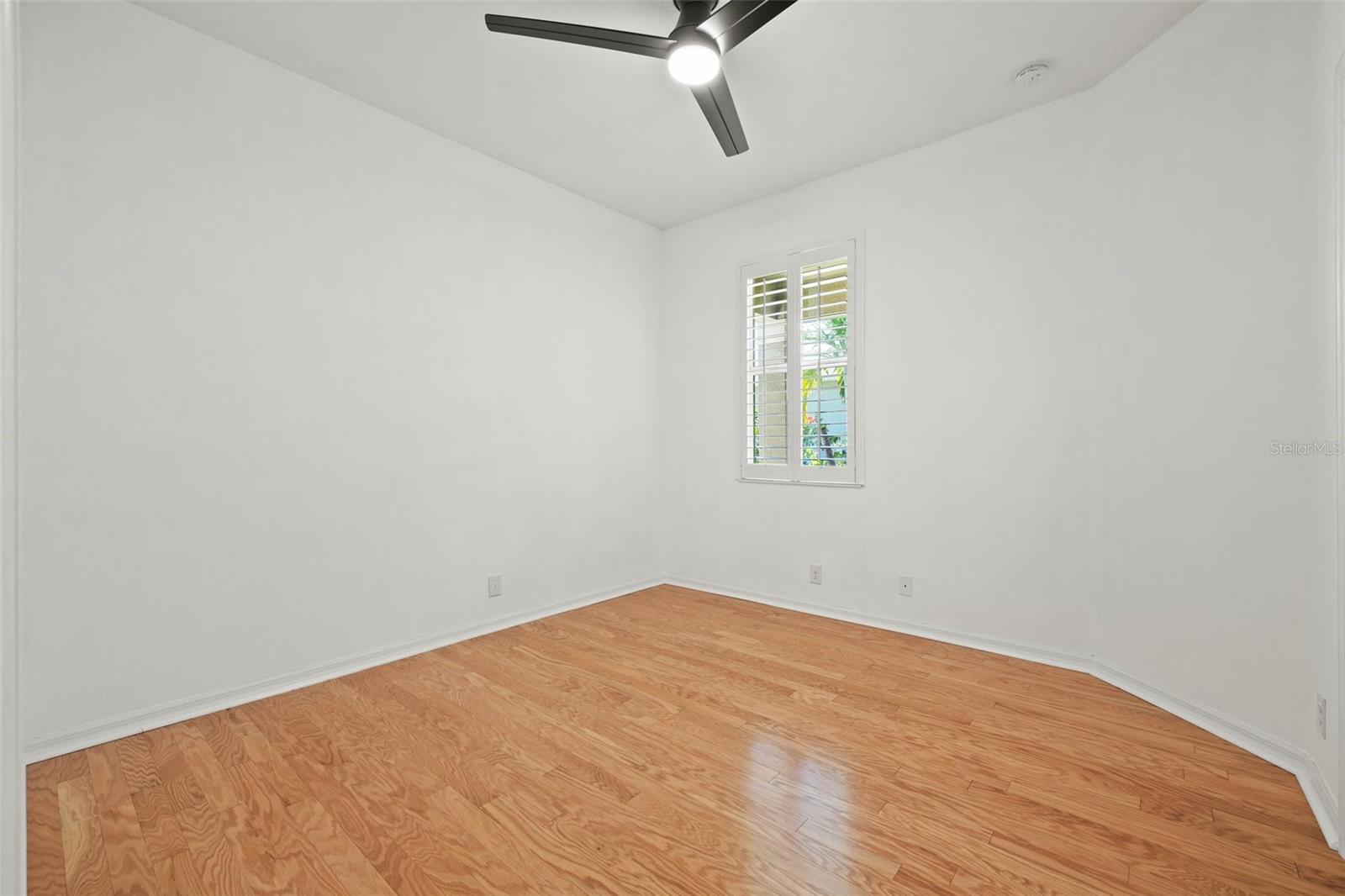 8078 PINE CREST ST, SEMINOLE, FL, 33777