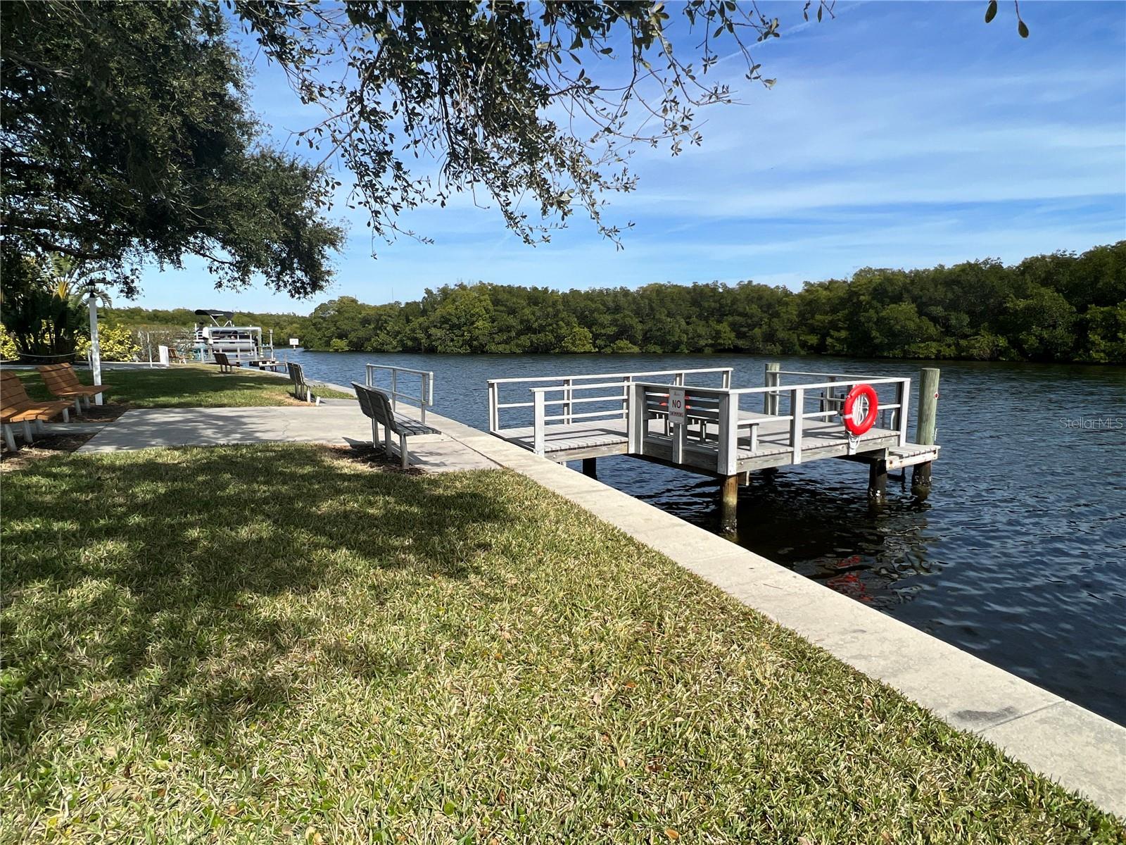 350 MOUNT OAK AVE NE #753, ST PETERSBURG, FL, 33702