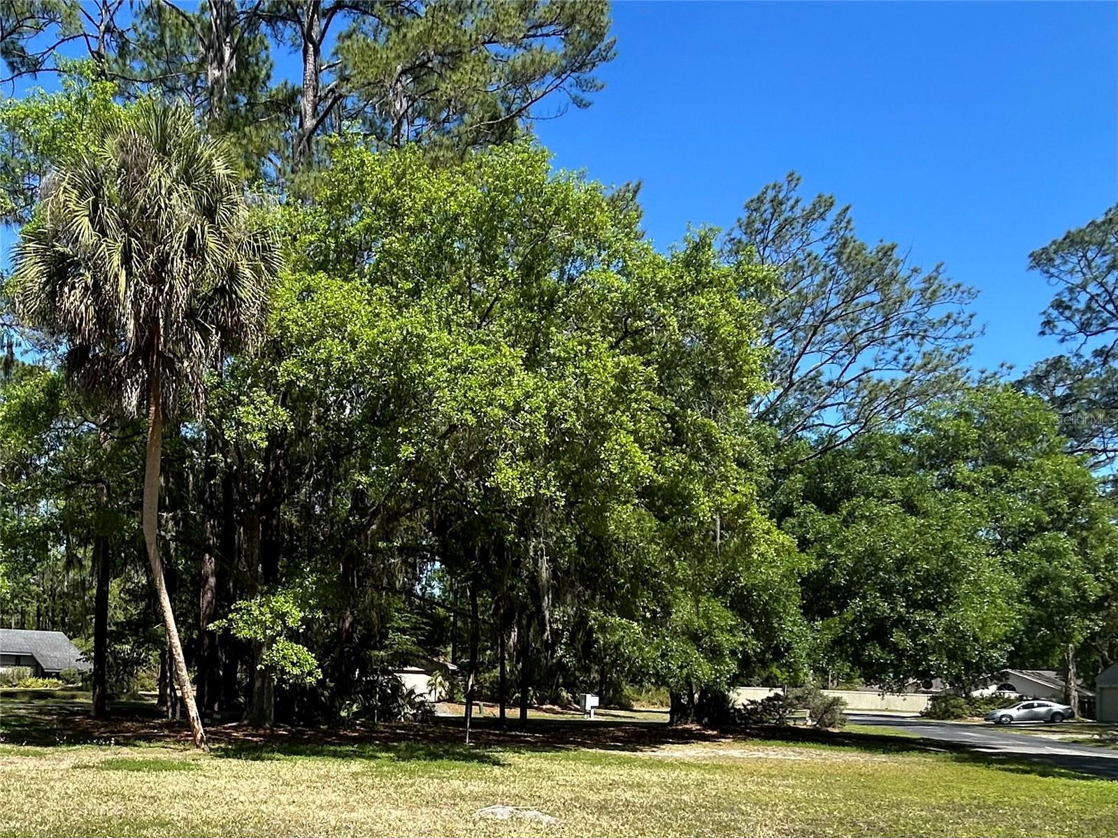 2515 ARDEN DR, GAINESVILLE, FL, 32605