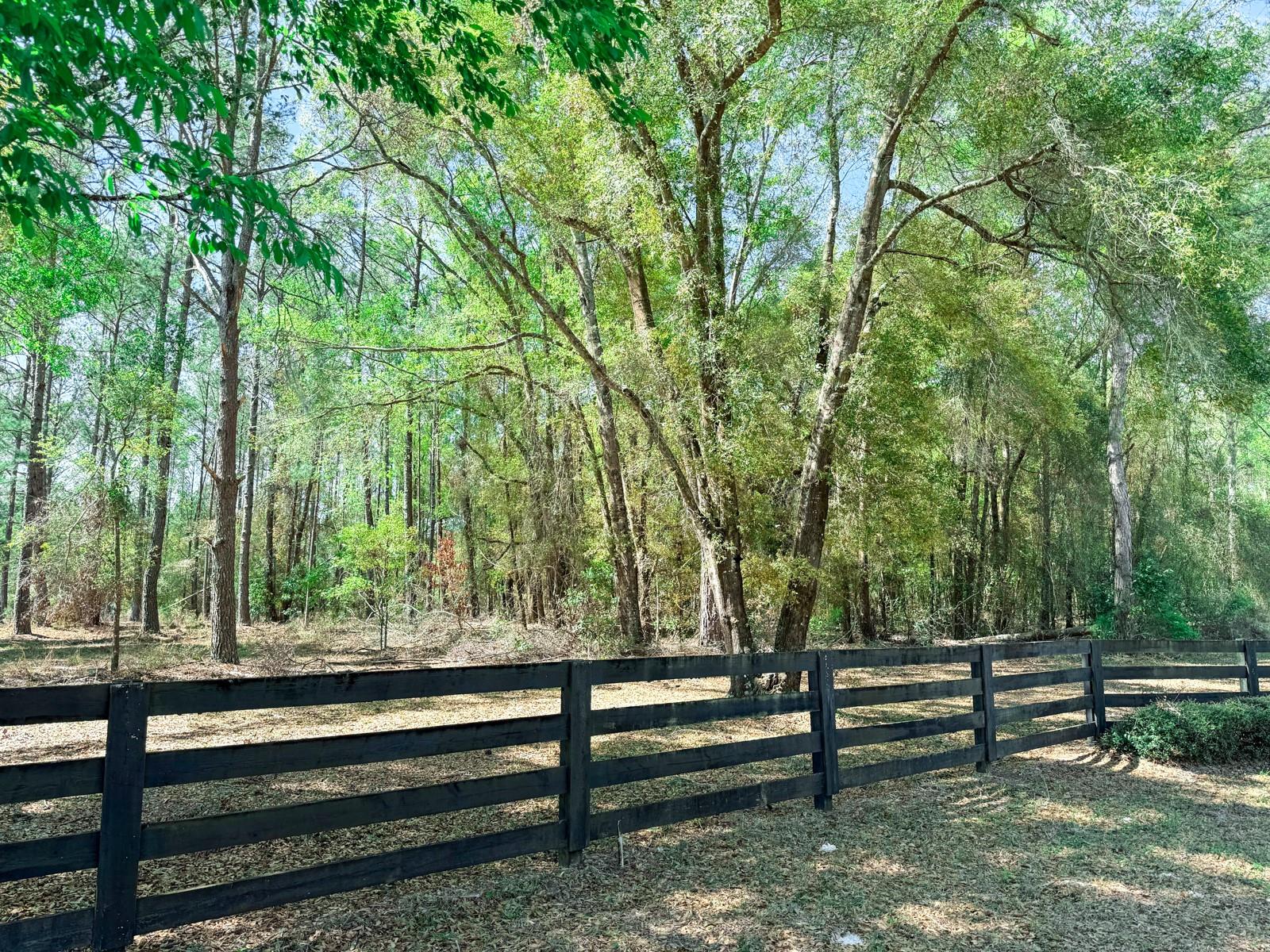 000 HERMITAGE GLN, HIGH SPRINGS, FL, 32643