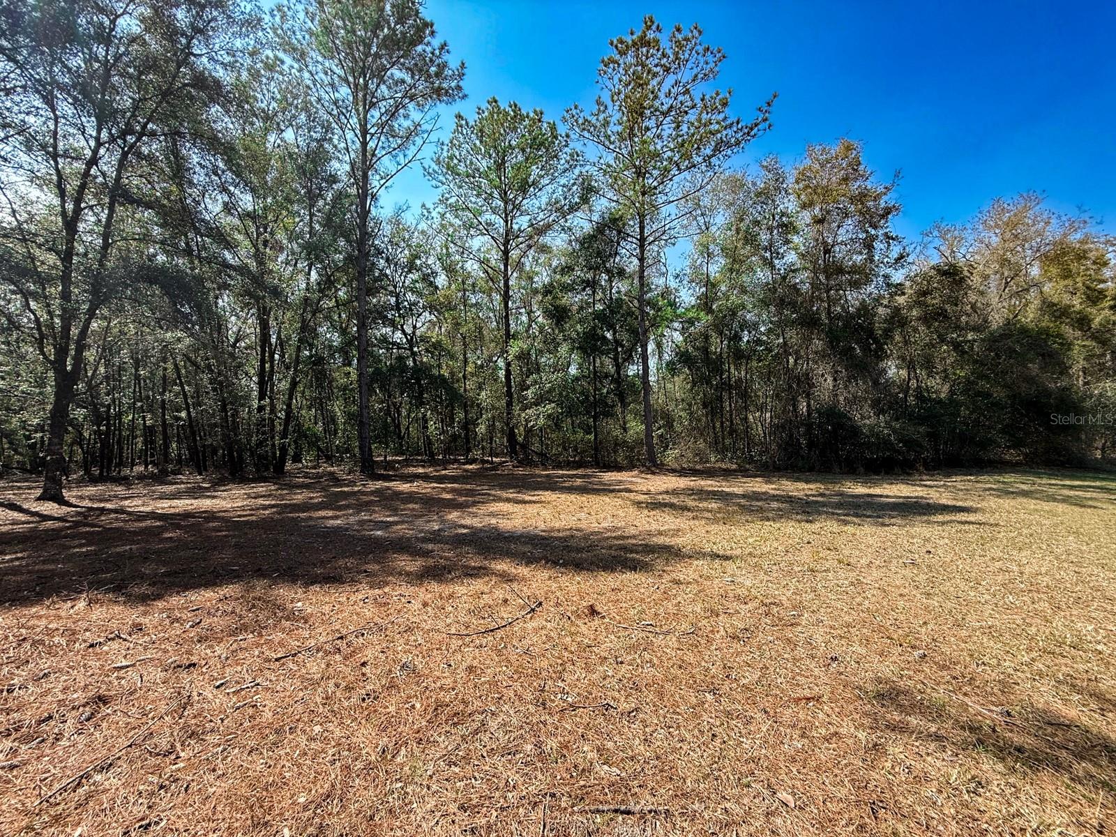 000 HERMITAGE GLN, HIGH SPRINGS, FL, 32643