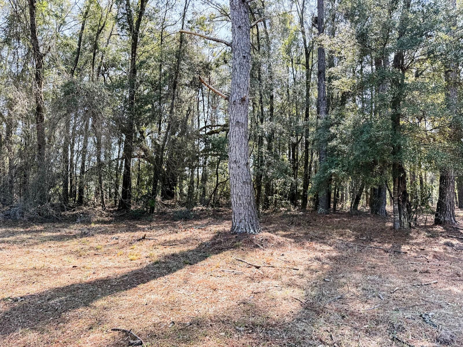 000 HERMITAGE GLN, HIGH SPRINGS, FL, 32643