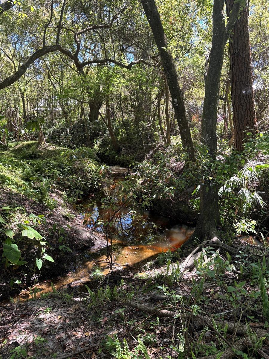 7265 BEACH RD, ELKTON, FL, 32033