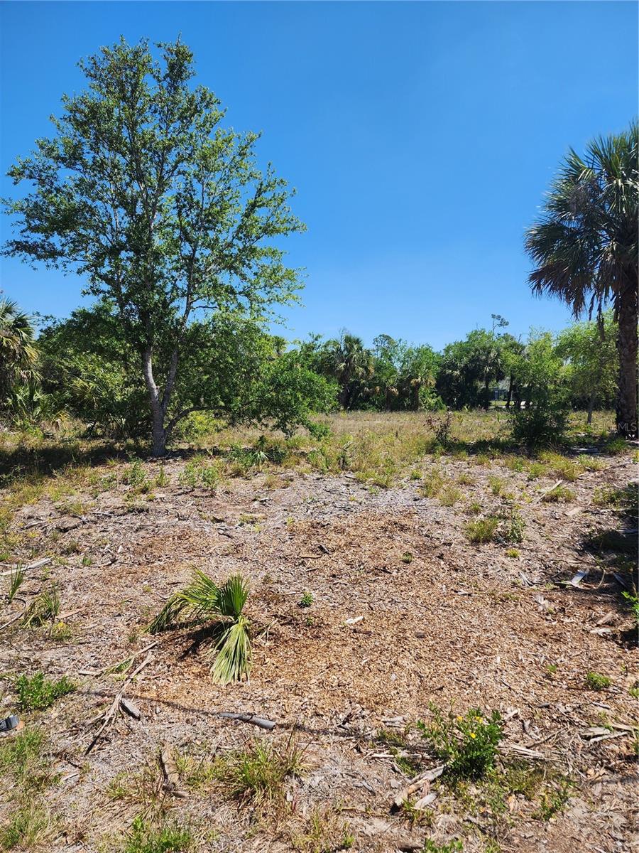 284 BARGER DR, PORT CHARLOTTE, FL, 33954
