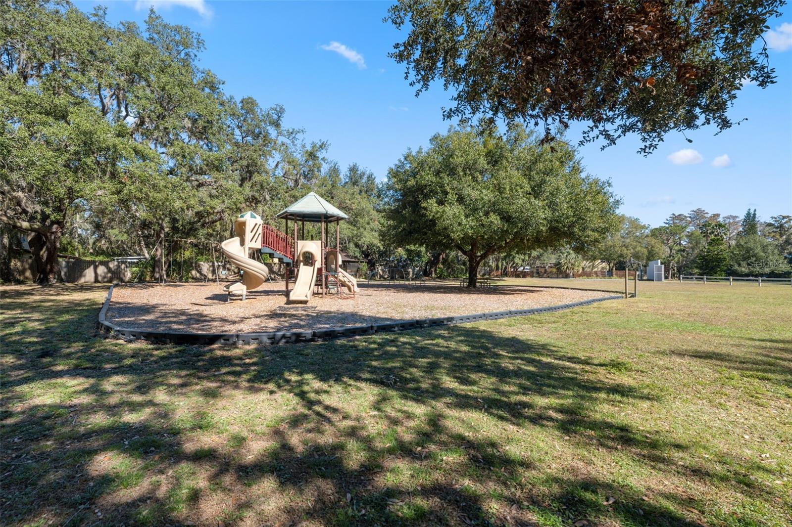 13805 NICE LN, ODESSA, FL, 33556