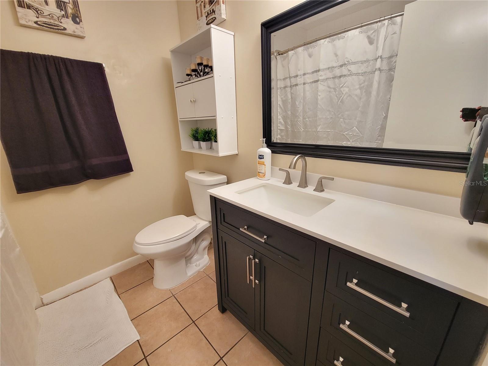 523 OAKBRIAR PL, BRANDON, FL, 33510