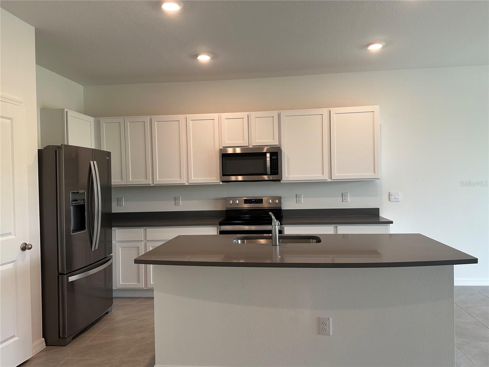 11408 CRESCENT DEER DR, LAND O LAKES, FL, 34638