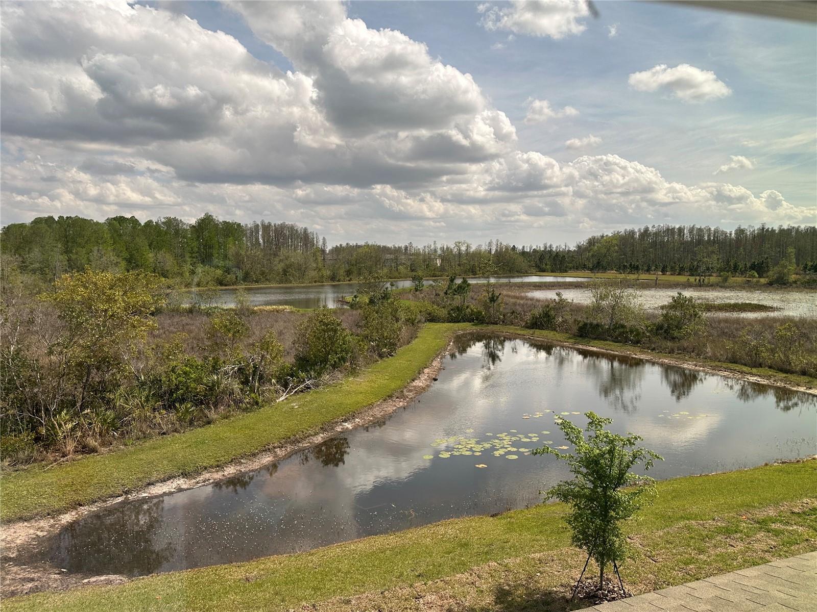 11408 CRESCENT DEER DR, LAND O LAKES, FL, 34638