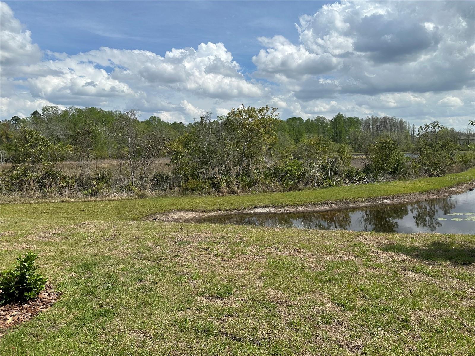11408 CRESCENT DEER DR, LAND O LAKES, FL, 34638