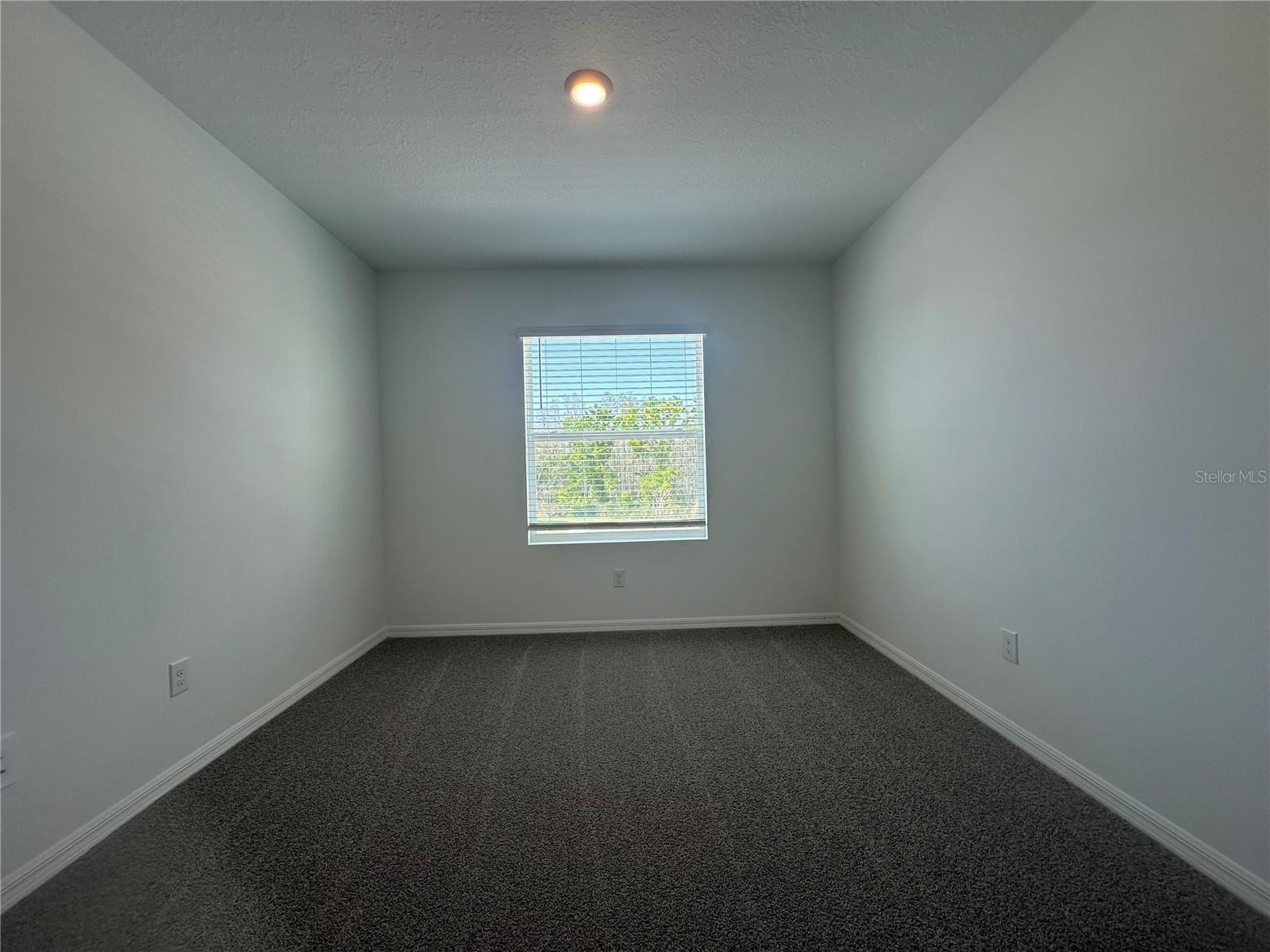 11408 CRESCENT DEER DR, LAND O LAKES, FL, 34638