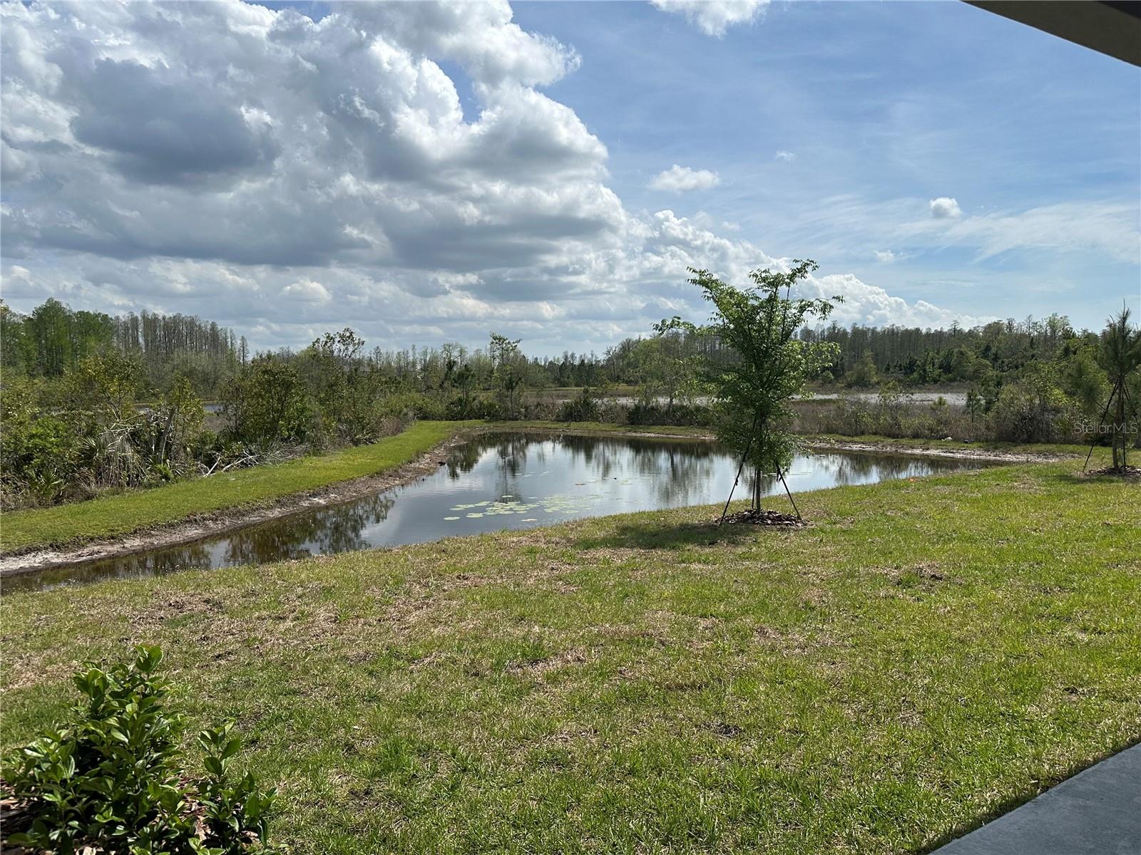 11408 CRESCENT DEER DR, LAND O LAKES, FL, 34638