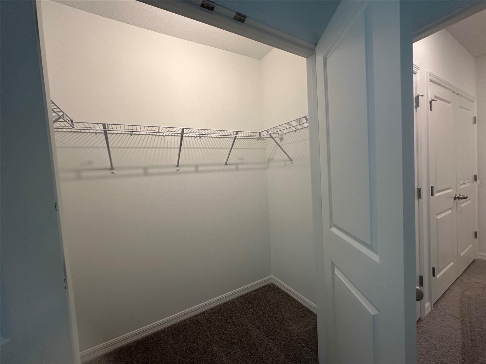 11408 CRESCENT DEER DR, LAND O LAKES, FL, 34638