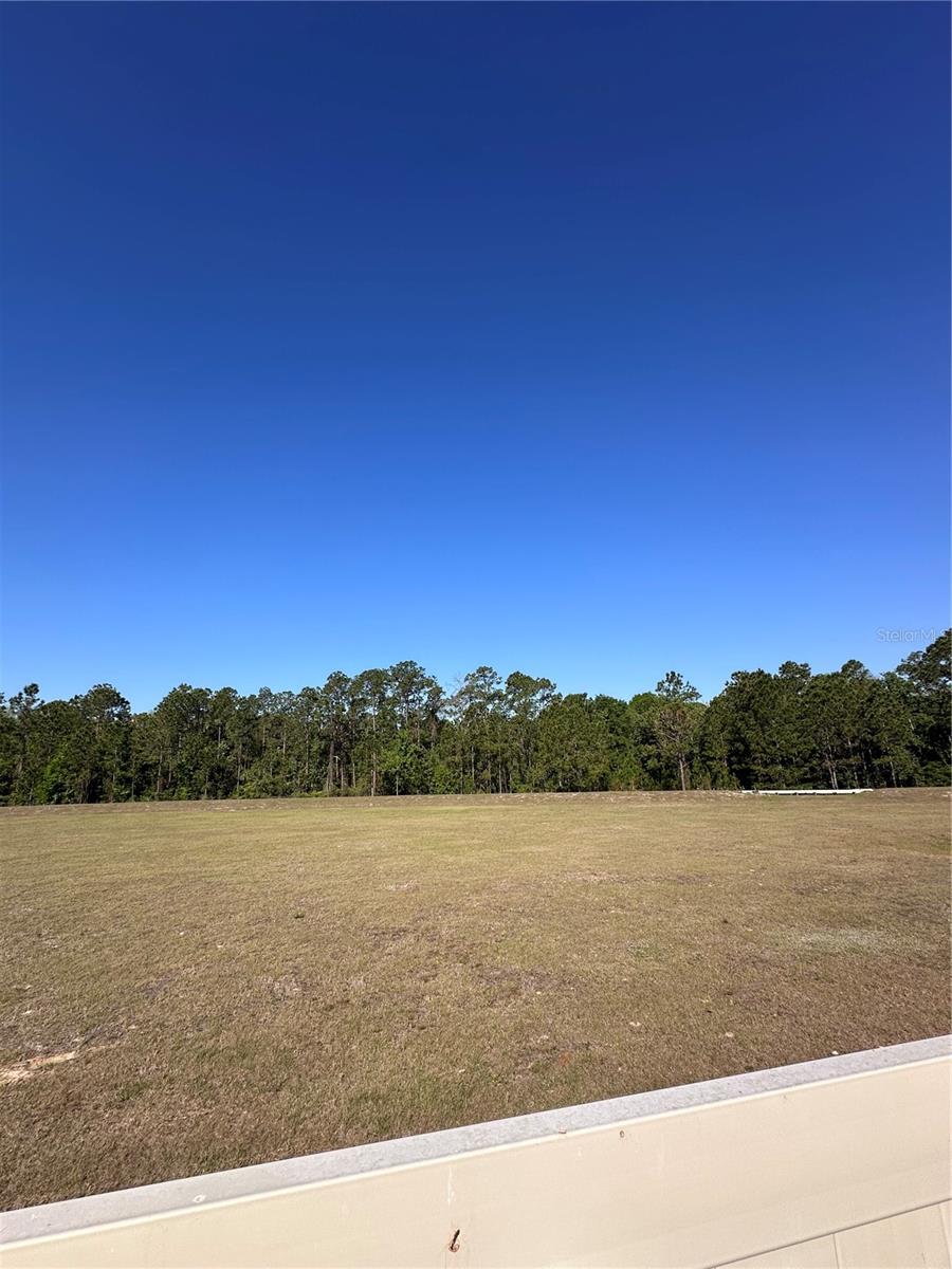 377 HOLLY BERRY DR, DAVENPORT, FL, 33897
