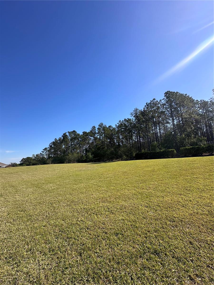 377 HOLLY BERRY DR, DAVENPORT, FL, 33897