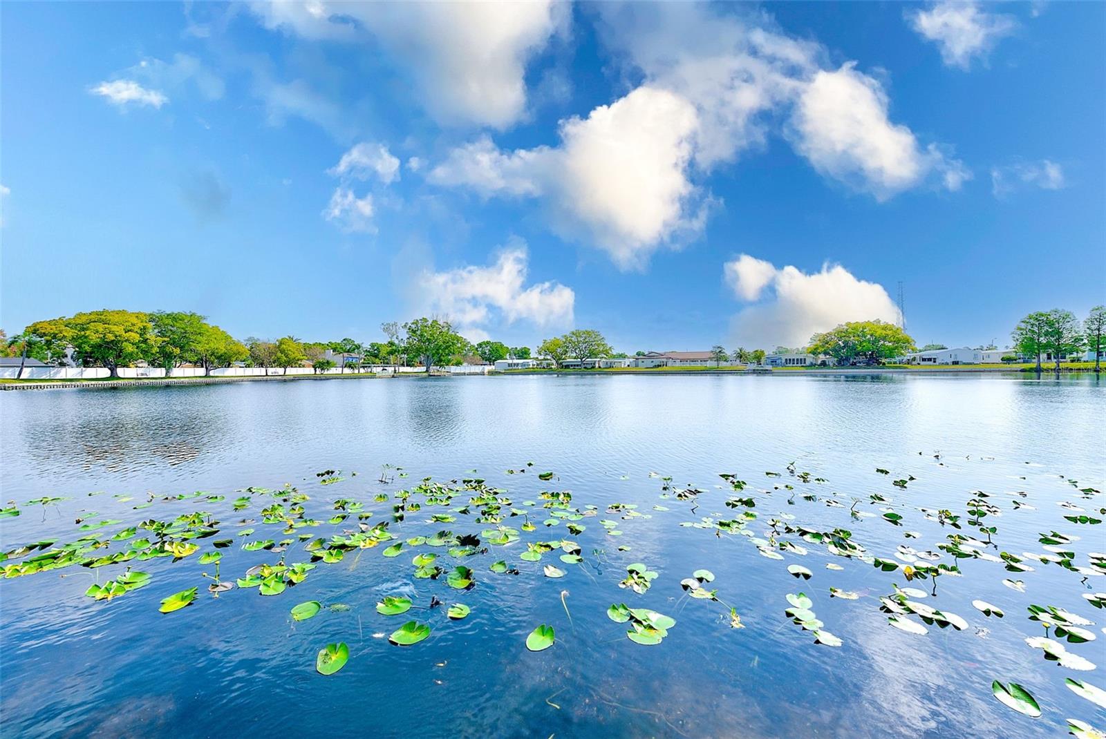 12501 ULMERTON RD #14, LARGO, FL, 33774