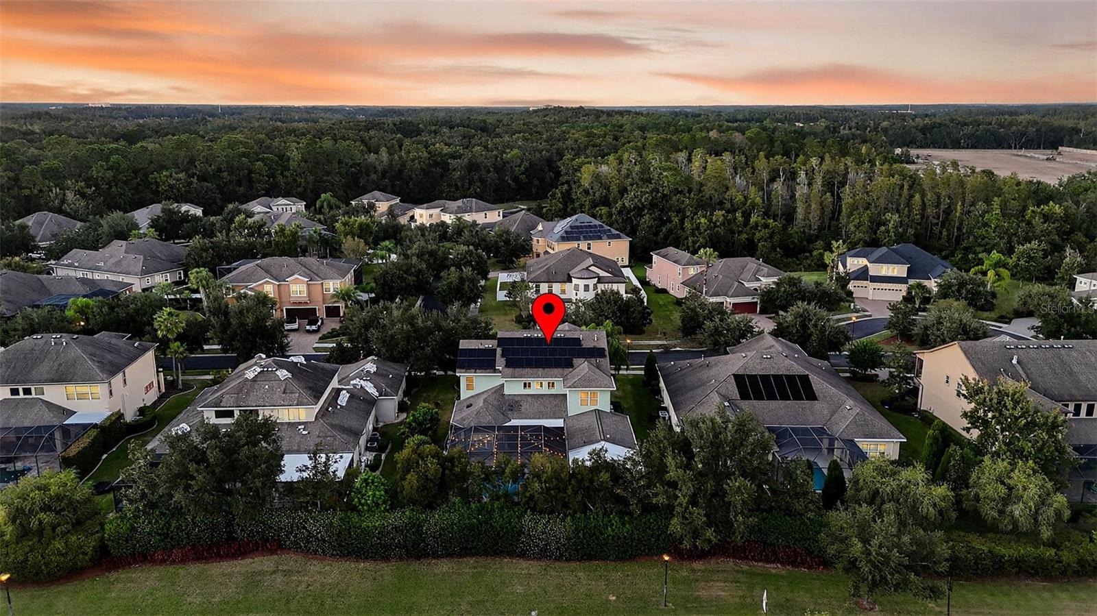 10007 HAZELNUT CT, TAMPA, FL, 33647