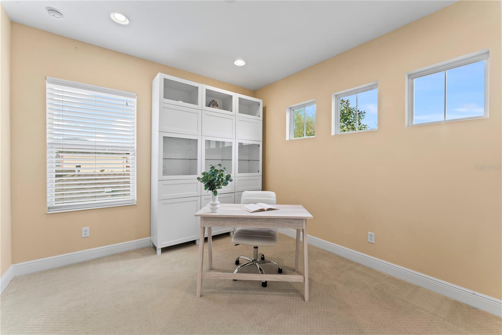 10007 HAZELNUT CT, TAMPA, FL, 33647