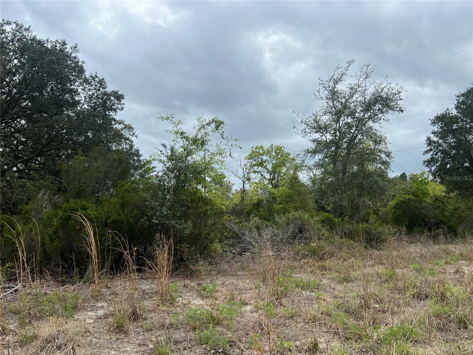 TBD NE 88TH LN, BRONSON, FL, 32621