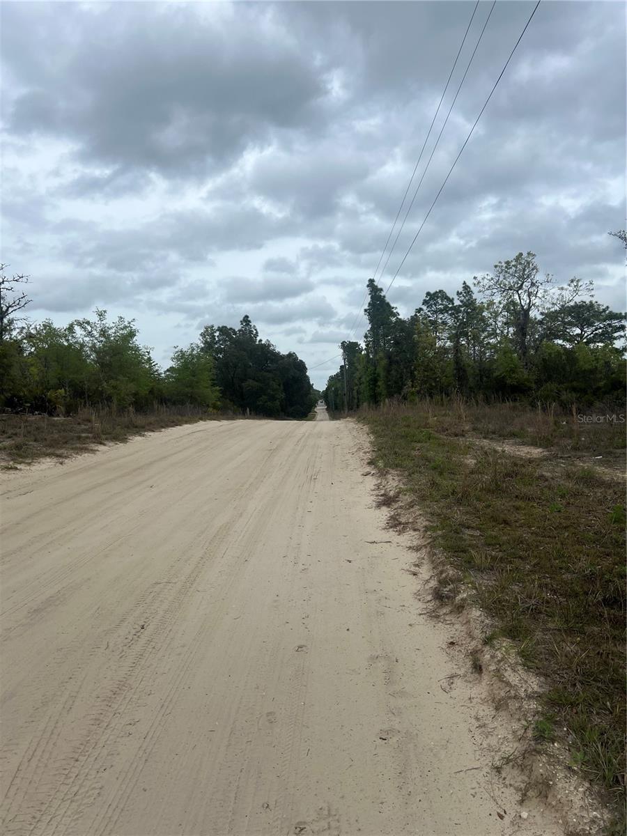 TBD NE 88TH LN, BRONSON, FL, 32621