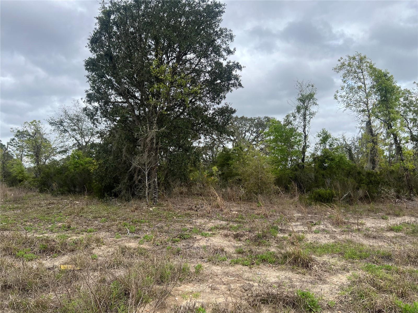 TBD NE 88TH LN, BRONSON, FL, 32621