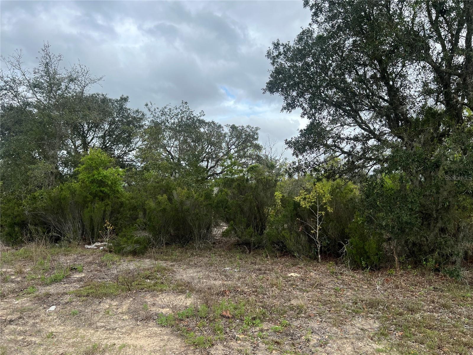 TBD NE 88TH LN, BRONSON, FL, 32621