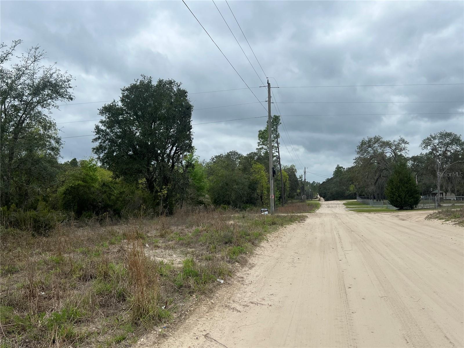 TBD NE 88TH LN, BRONSON, FL, 32621