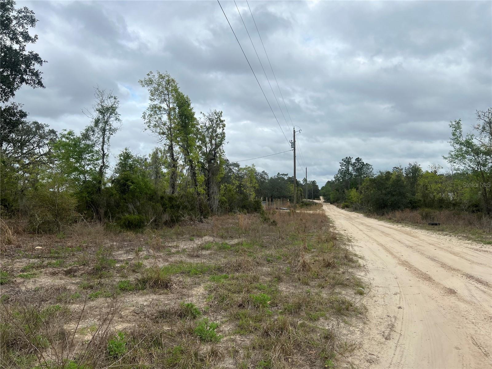 TBD NE 88TH LN, BRONSON, FL, 32621