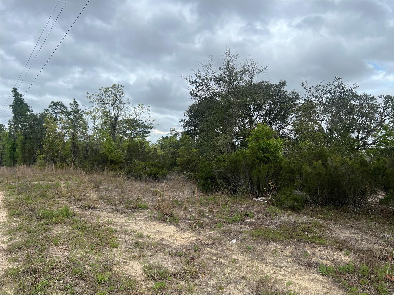 TBD NE 88TH LN, BRONSON, FL, 32621