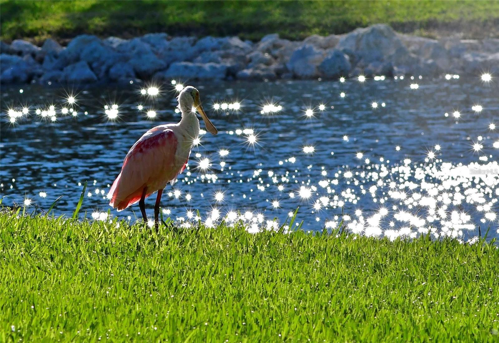 9414 ANDOVER CIR, BRADENTON, FL, 34210