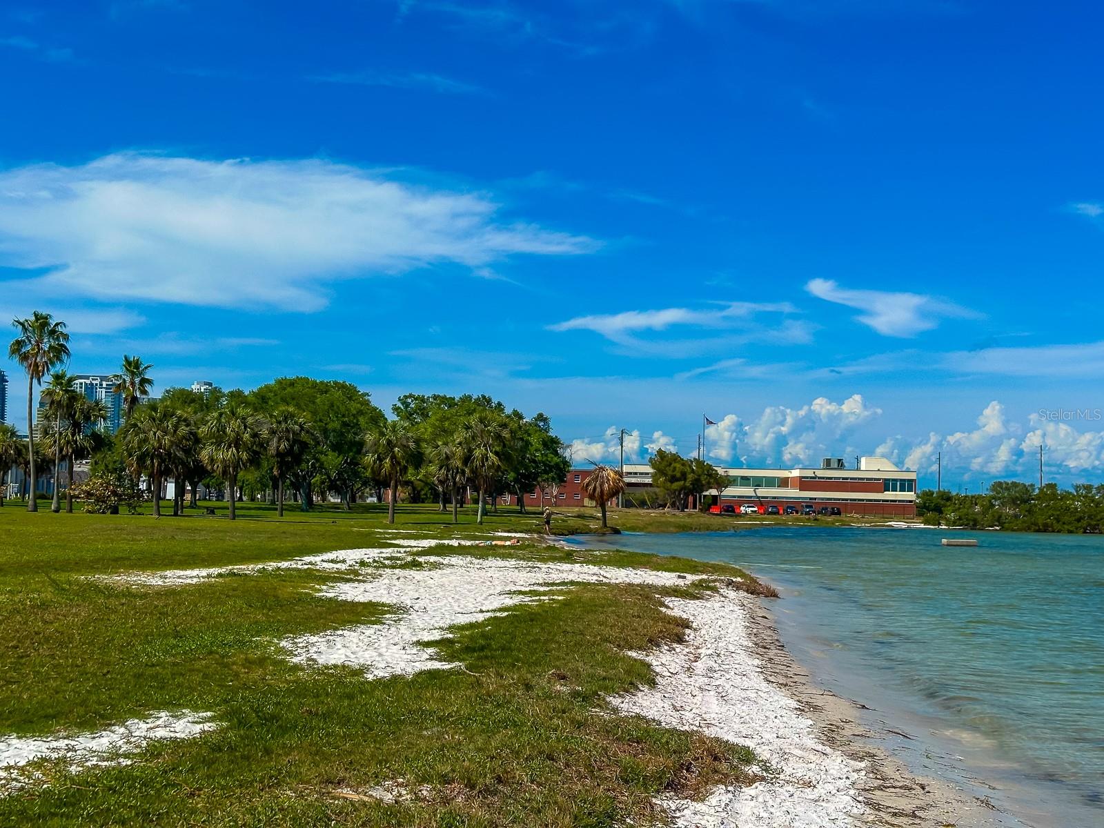 319 20TH AVE S, ST PETERSBURG, FL, 33705