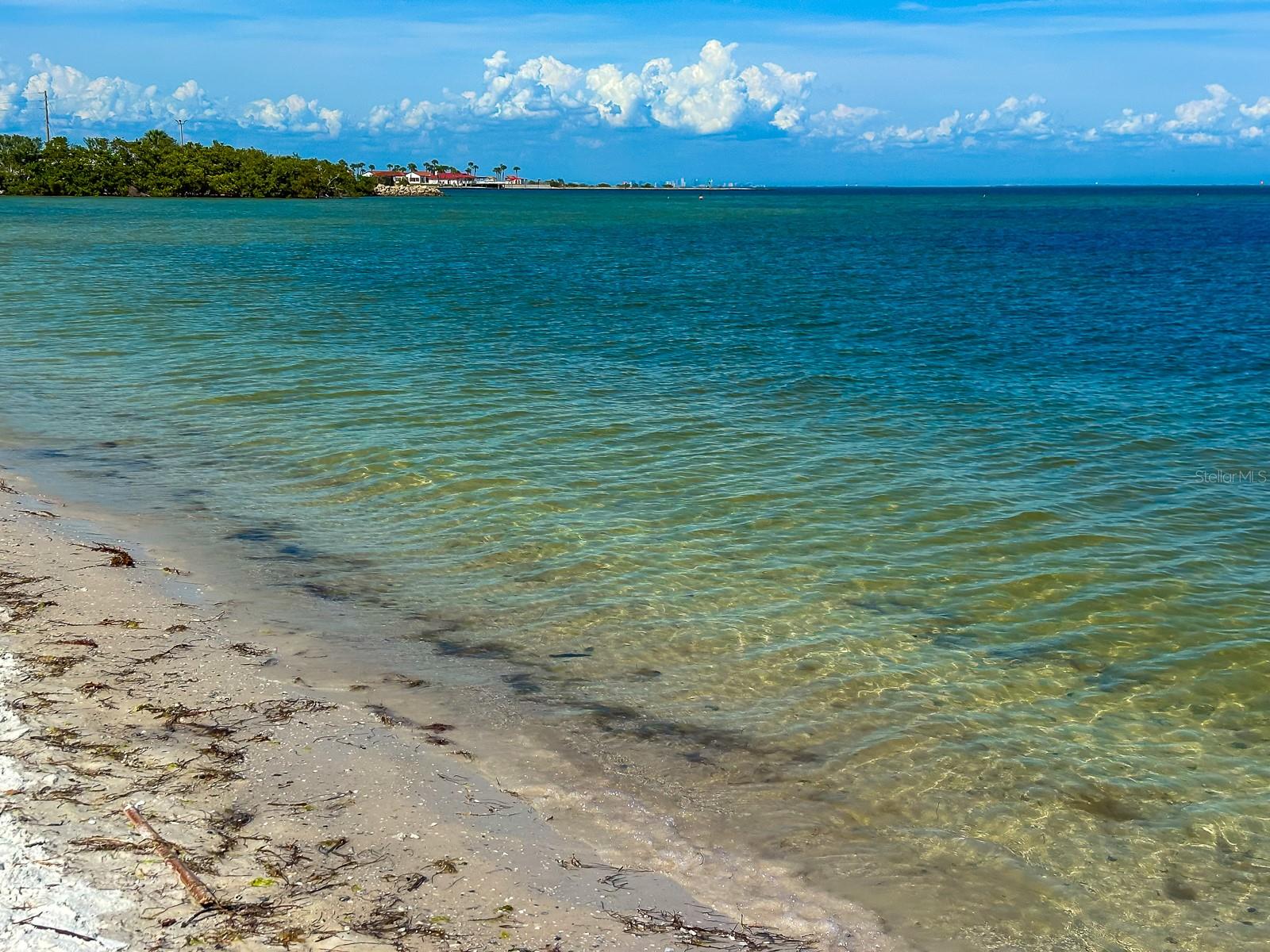 319 20TH AVE S, ST PETERSBURG, FL, 33705